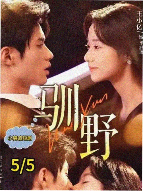 群像叙事类免费电视剧图鉴